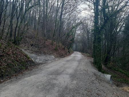 Suhorje lokacija 1a (3)